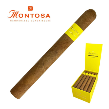MONTOSA AMARILLO CHURCHILL